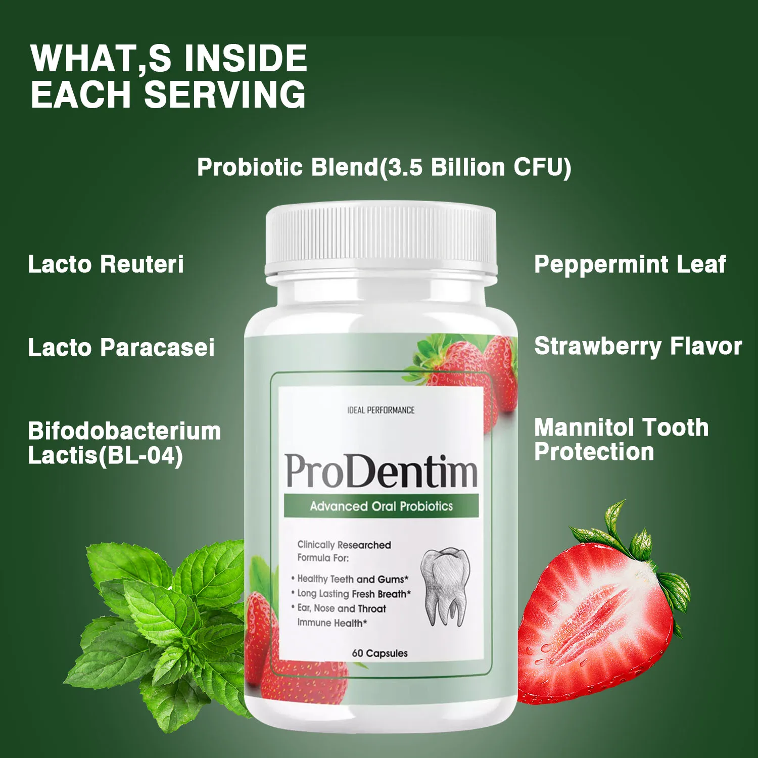 Probiotics for Adults, Best Br - Digestive Enzyme Blend ulasan dan harga