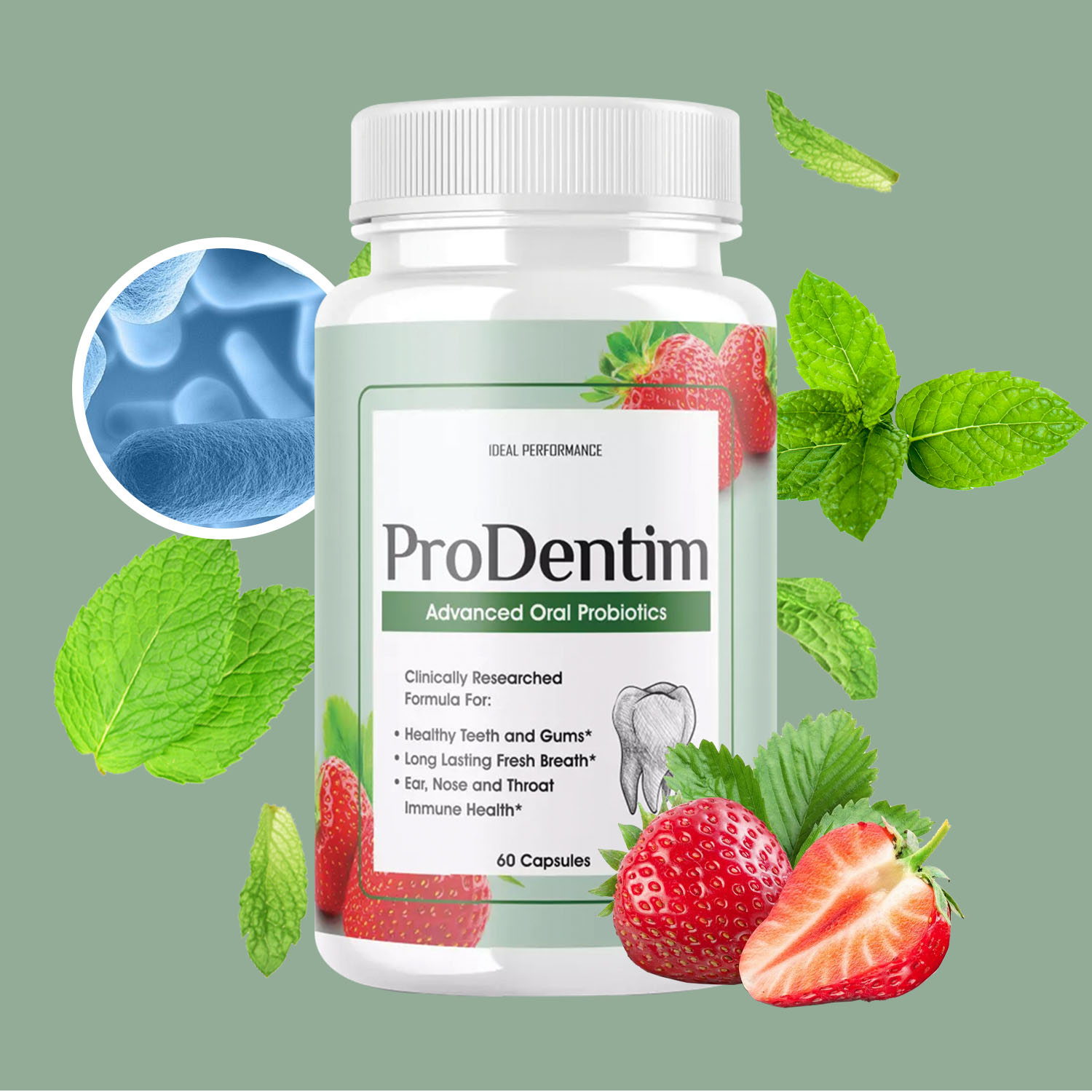 Advanced Oral Probiotics - Fre - Digestive Enzyme Blend ulasan dan harga