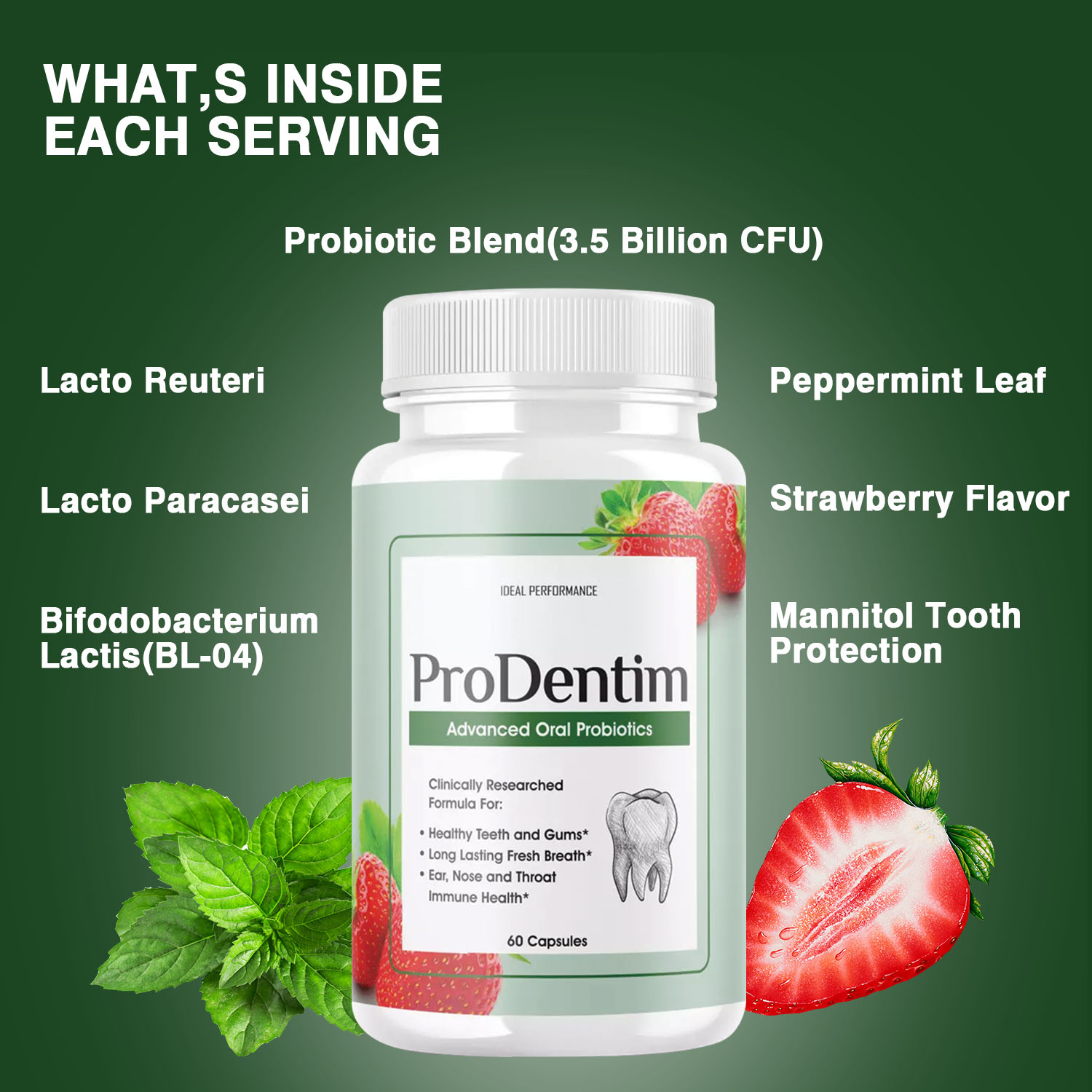 Advanced Oral Probiotics - Ora - Digestive Enzyme Blend ulasan dan harga