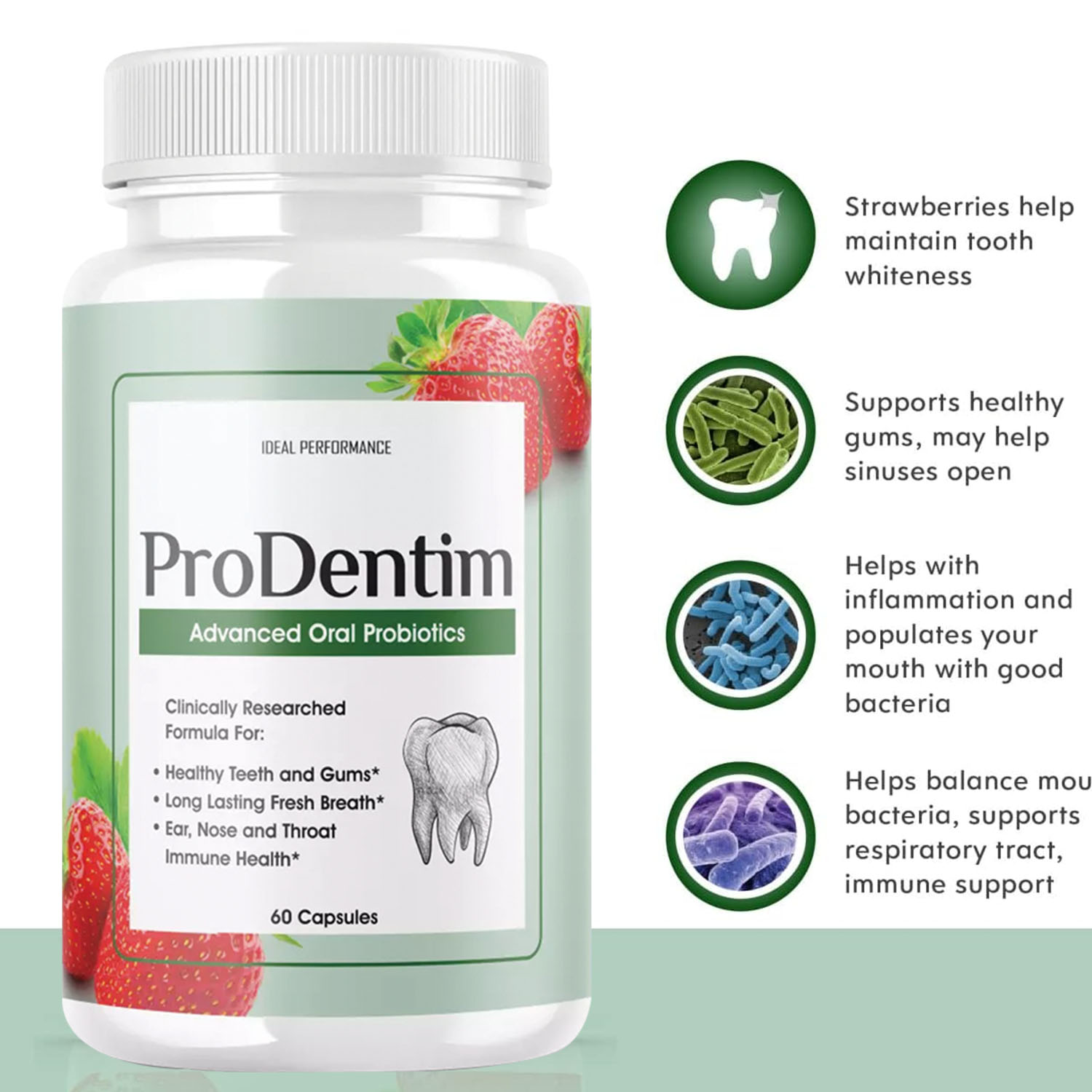 Advanced Oral Probiotics - Ora - Digestive Enzyme Blend ulasan dan harga