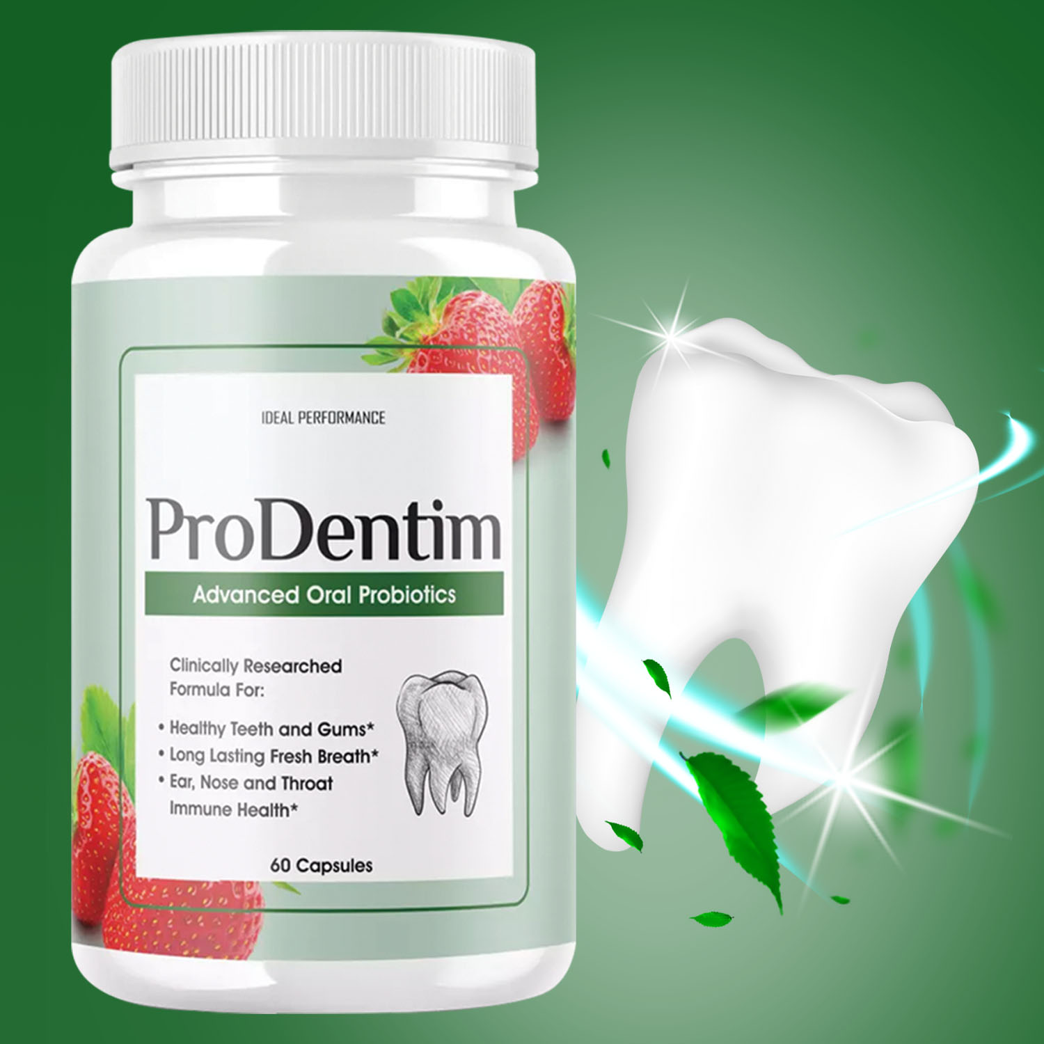 Advanced Oral Probiotics - Fre - Digestive Enzyme Blend ulasan dan harga