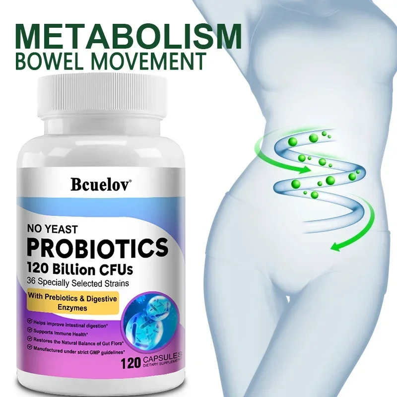 Digestive Health Probiotics 12 - Digestive Enzyme Blend ulasan dan harga