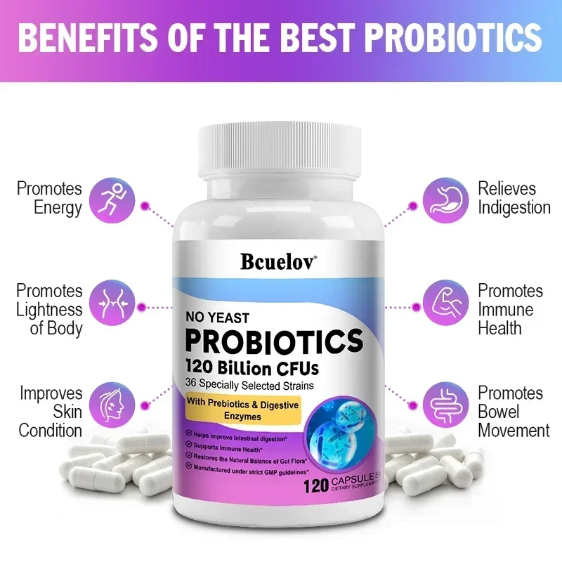 Digestive Health Probiotics 12 - Digestive Enzyme Blend ulasan dan harga